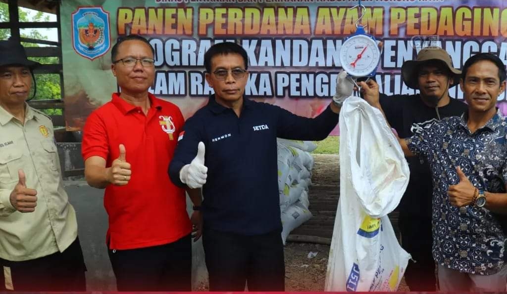 Komisi III DPRD Mura Hadiri Panen Perdana Ayam Pedaging dan Ayam Petelur