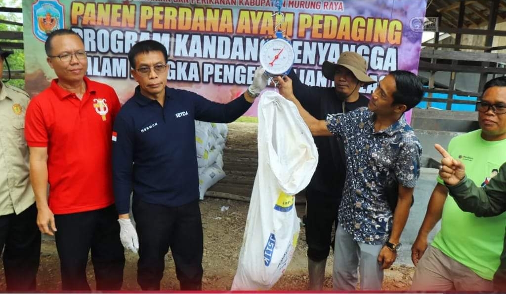 Tekan Inflasi, Pemkab Murung Raya Miliki Kandang Ayam Penyangga